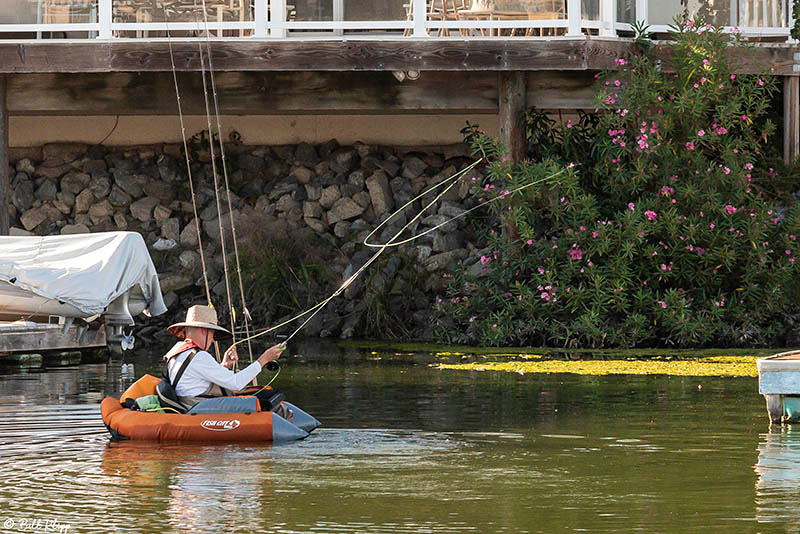 Delta Wanderings, Discovery Bay, Photos by Bill Klipp