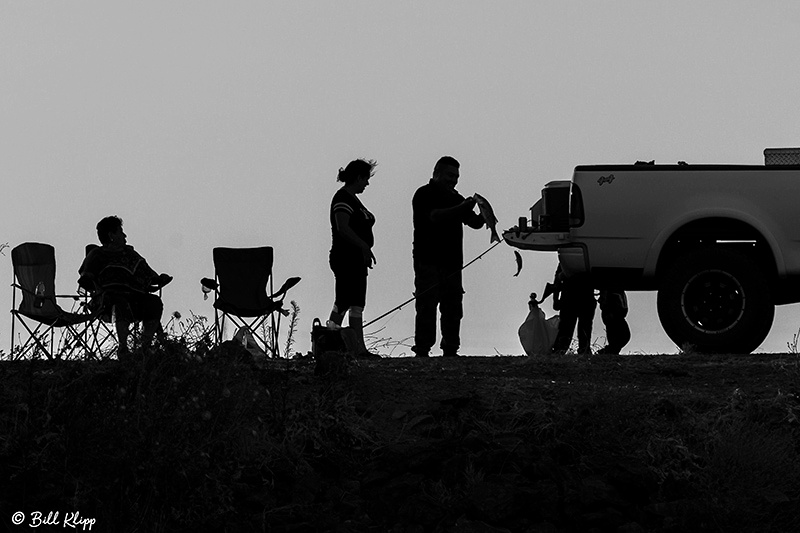 Delta Wanderings, Discovery Bay, Photos by Bill Klipp