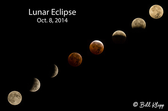 Lunar Eclipse Photos by Bill Klipp