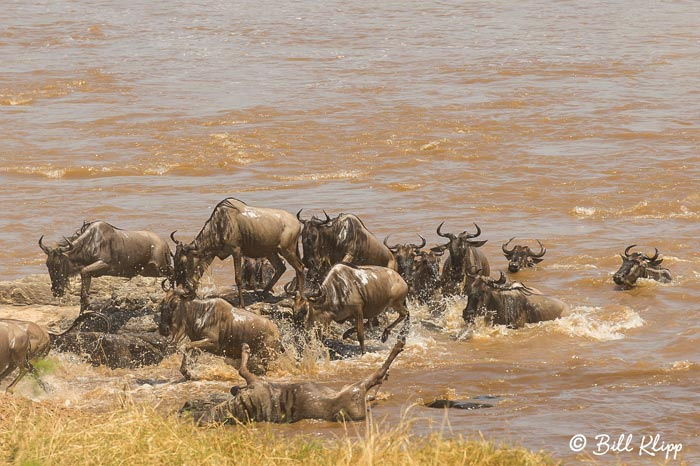 Serengeti National Park, Serian North Alex Walker Camp