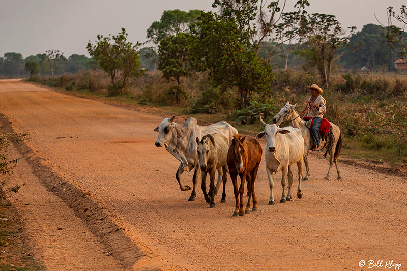 Cowboy on horse, Pousada Piuval, Pantanal Brazil Photos by Bill