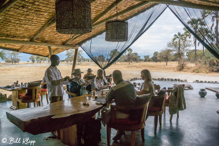 Serengeti National Park, Serian North Alex Walker Camp