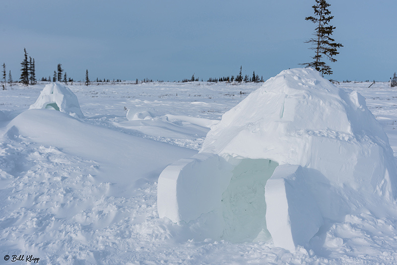 Igloo Building, Churchill Northern Studies Center (CNSC), Churchill Canada Photos by Bill Klipp