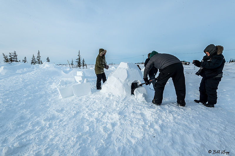 Igloo Building TL, CNSC, Churchill Canada Photos by Bill Klipp