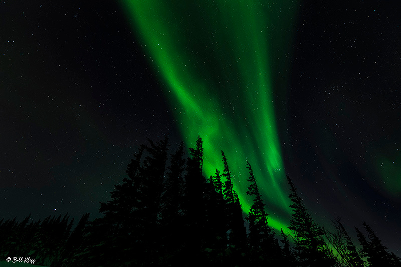 Aurora Borealis, Northern Lights, Aurora Pod, Churchill, Canada Photos by Bill Klipp