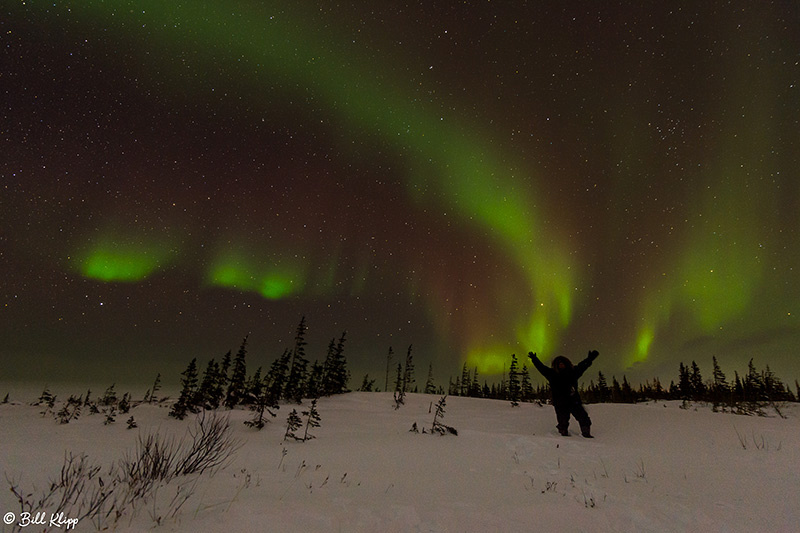 Aurora Borealis, Northern Lights, Churchill, Canada Photos by Bill Klipp