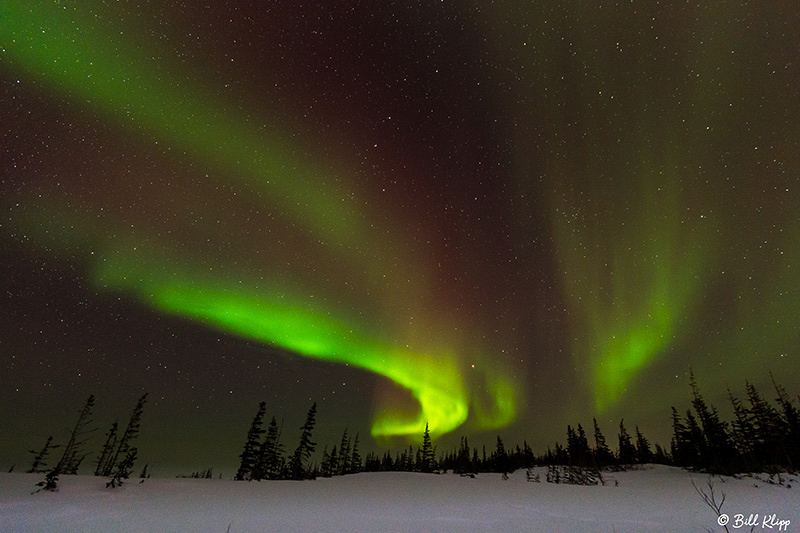 Aurora Borealis, Northern Lights, Churchill, Canada Photos by Bill Klipp