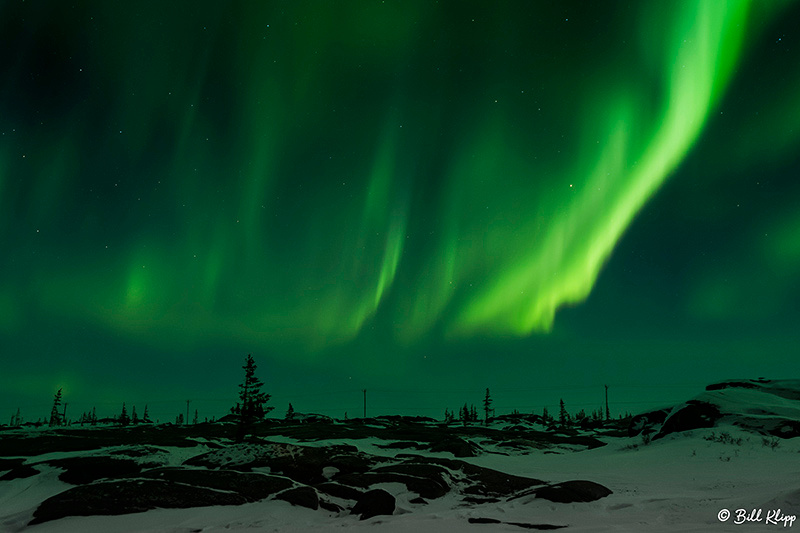 Aurora Borealis, Northern Lights, Churchill, Canada Photos by Bill Klipp