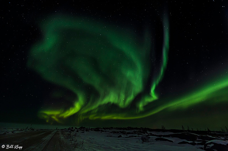 Aurora Borealis, Northern Lights, Churchill, Canada Photos by Bill Klipp