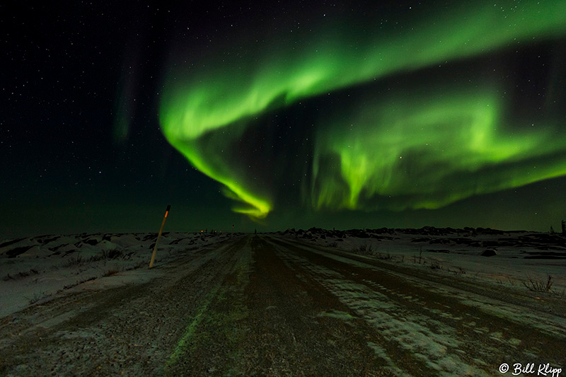 Aurora Borealis, Northern Lights, Churchill, Canada Photos by Bill Klipp