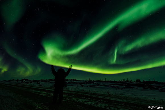 Aurora Borealis, Northern Lights, Churchill, Canada Photos by Bill Klipp