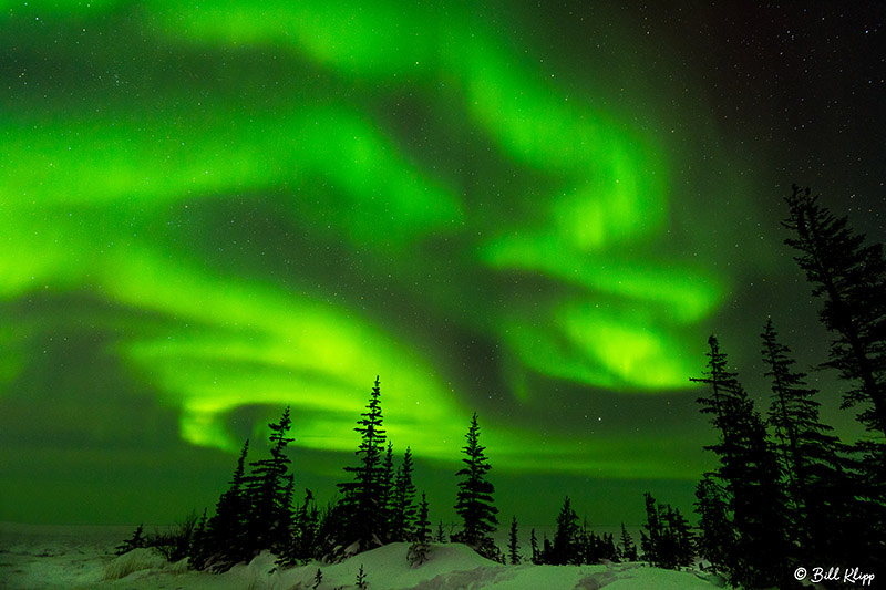 Aurora Borealis, Northern Lights, Churchill, Canada Photos by Bill Klipp