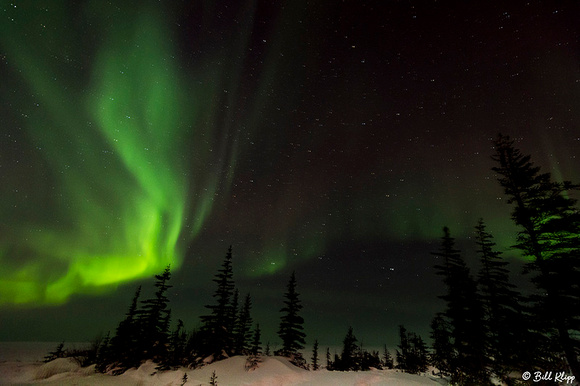 Aurora Borealis, Northern Lights, TL1 Churchill, Canada Photos by Bill Klipp
