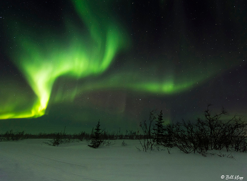 Aurora Borealis, Northern Lights, TL2 Churchill, Canada Photos by Bill Klipp