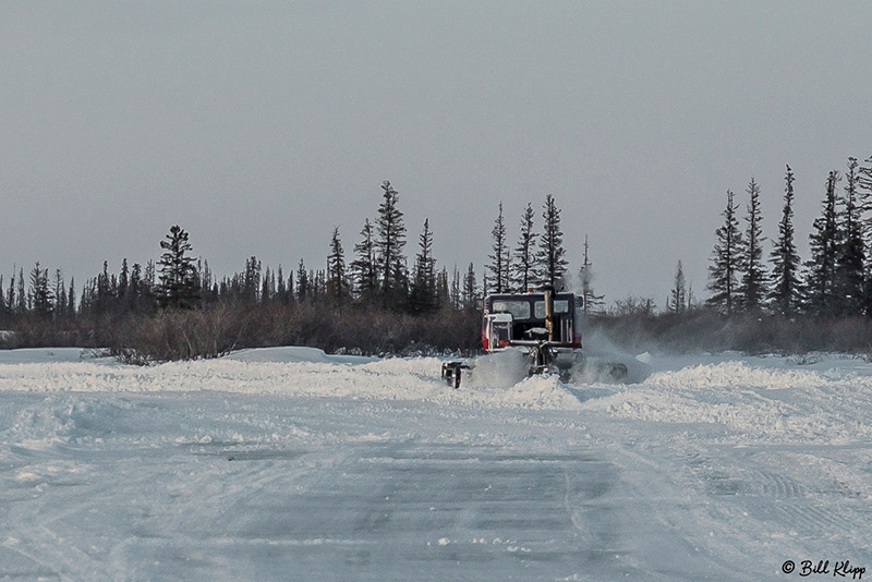 Churchill Canada Photos by Bill Klipp