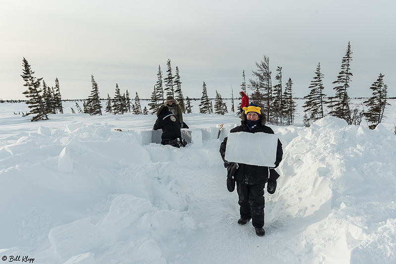 Igloo Building, Churchill Northern Studies Center (CNSC), Churchill Canada Photos by Bill Klipp