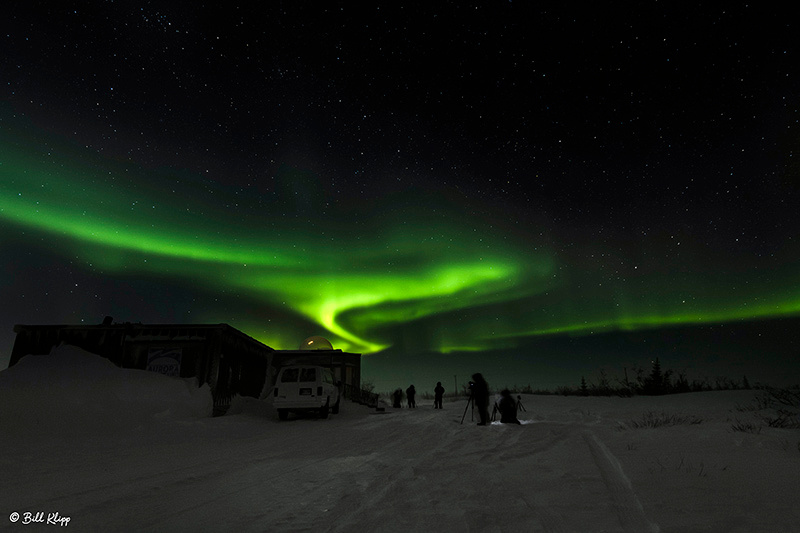 Aurora Borealis, Northern Lights, Aurora Dome, Churchill, Canada