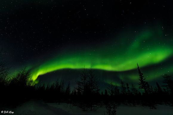 Aurora Borealis, Northern Lights, Churchill, Canada Photos by Bi